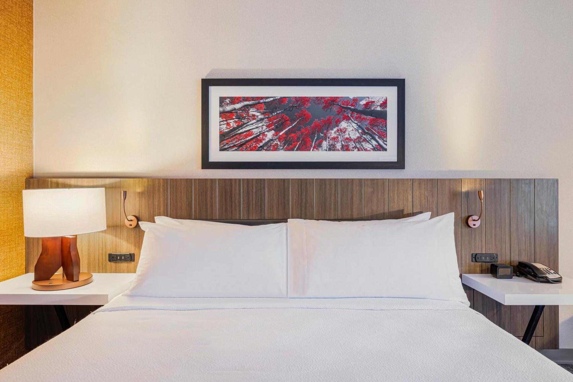 Hilton Garden Inn Colorado Springs Airport Bagian luar foto